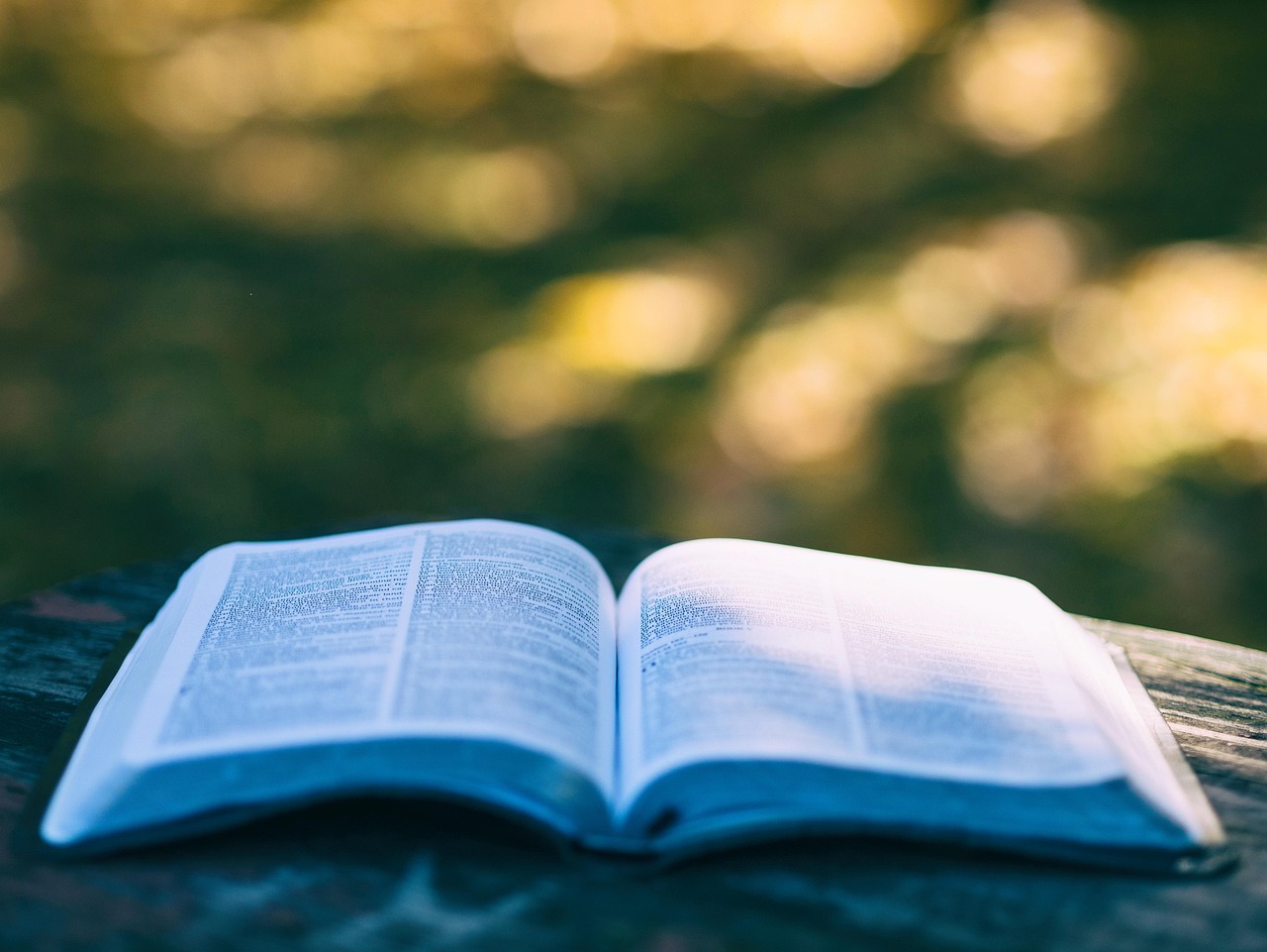 What readers should know before reading expert opinions